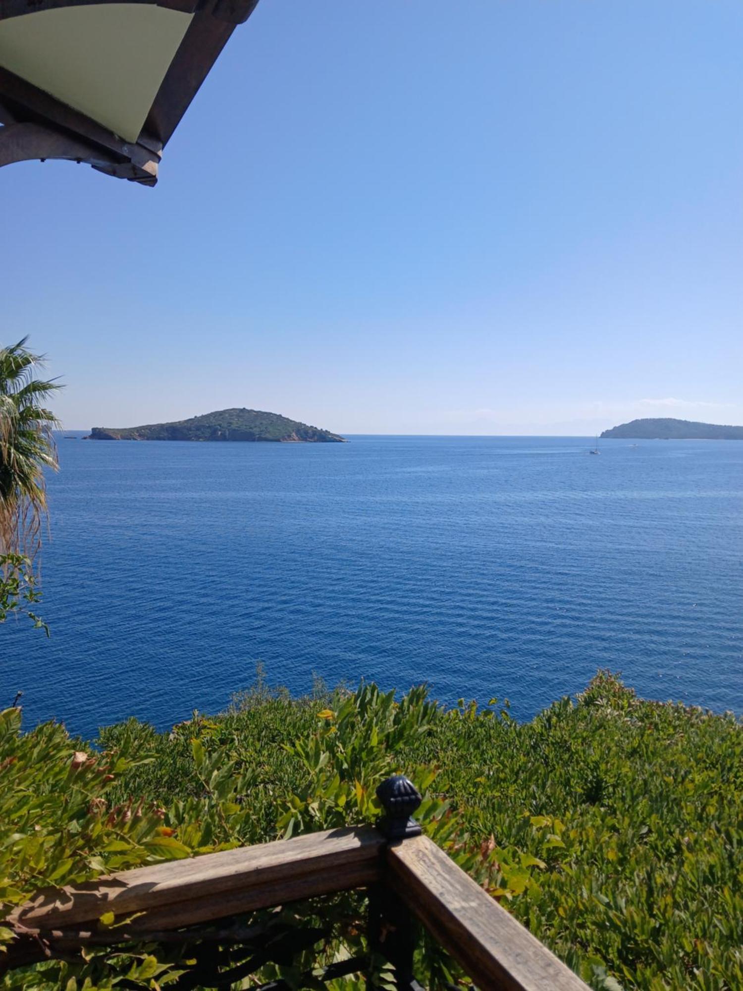 Hotel Villa Orsa スキアトスタウン エクステリア 写真